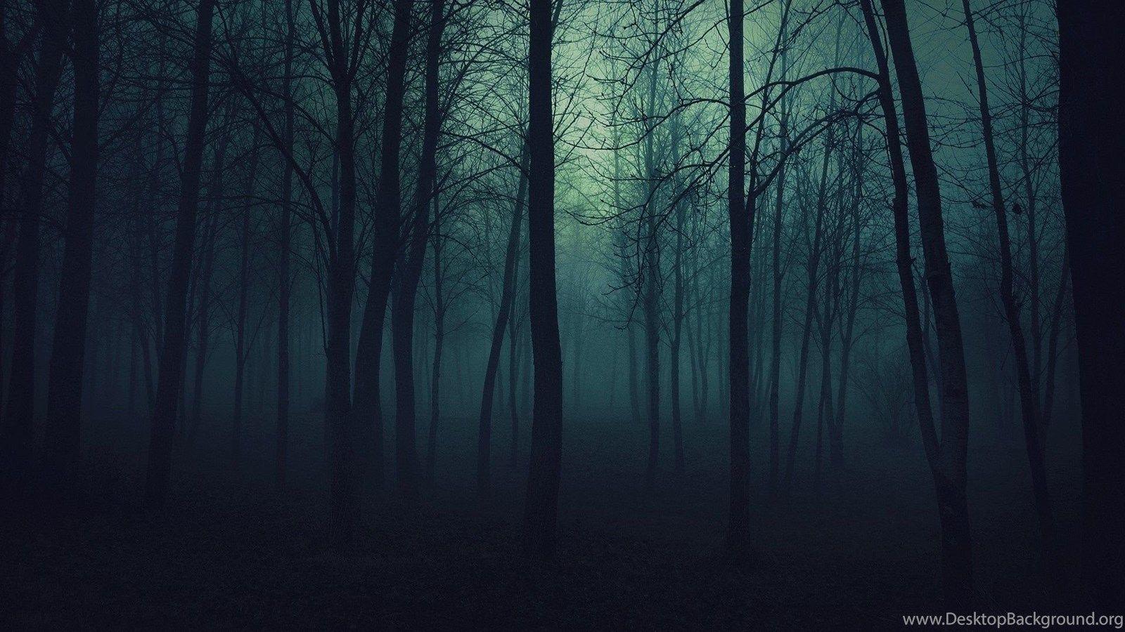 1600x900 forest wallpapers top free 1600x900 forest backgrounds