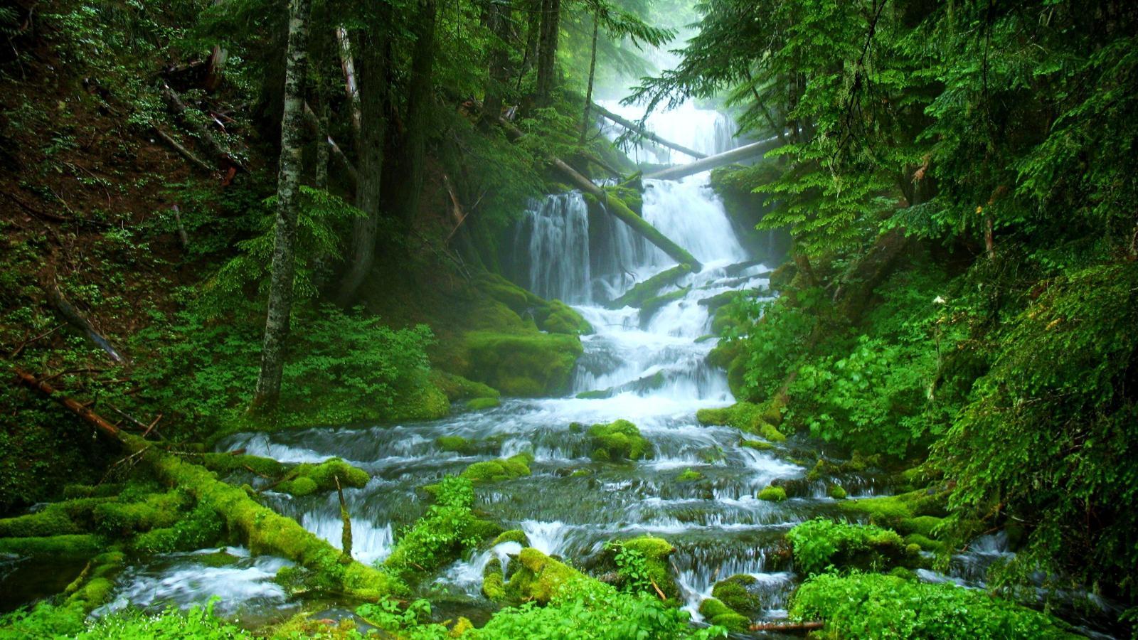 1600x900 Beautiful Forest Waterfall wallpaperx900