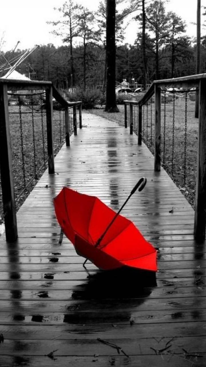 Red Umbrella Wallpapers - Top Free Red Umbrella Backgrounds