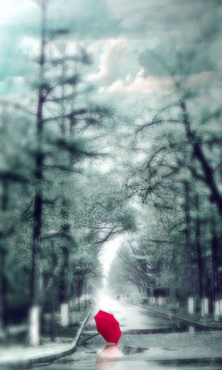 Red Umbrella Wallpapers - Top Free Red Umbrella Backgrounds