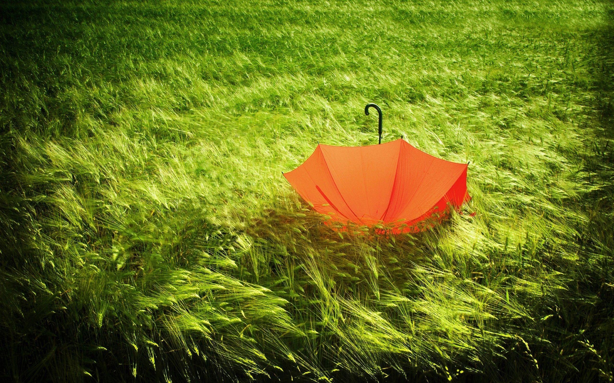 Red Umbrella Wallpapers - Top Free Red Umbrella Backgrounds