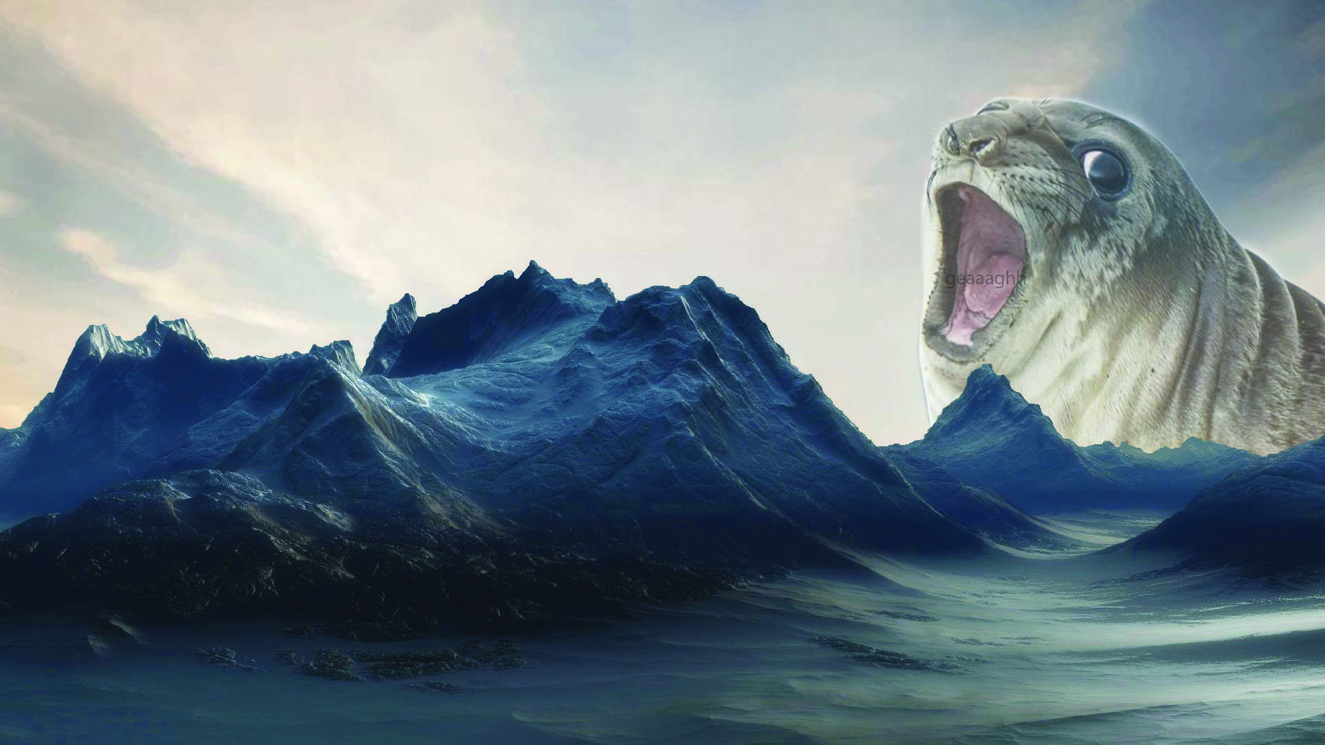 Seal Wallpapers - Top Free Seal Backgrounds - WallpaperAccess