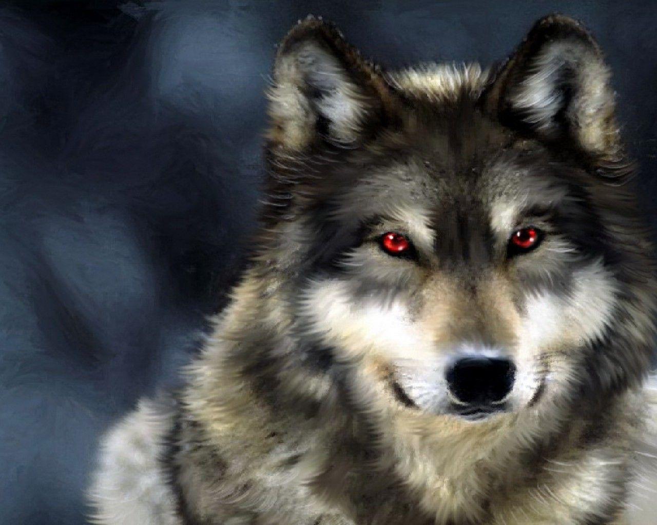 1280x1024 Wolf Wallpaper