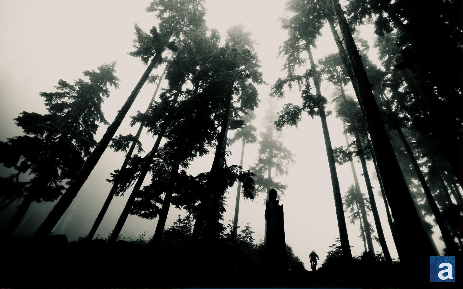 1920x1200 Mountain Biking Wallpaper