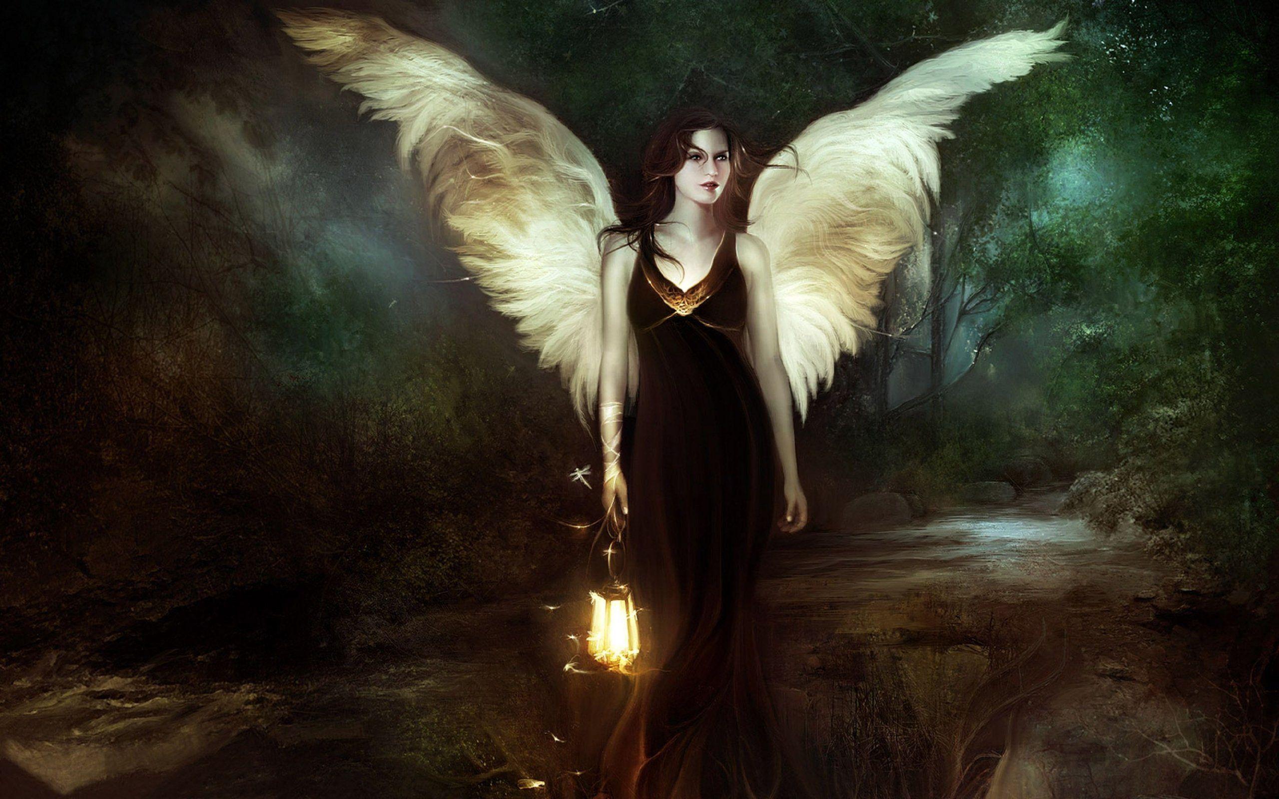 2560x1600 Girl, Angel, Wood, Lantern, Nigh, Hd, desktop, wallpaper
