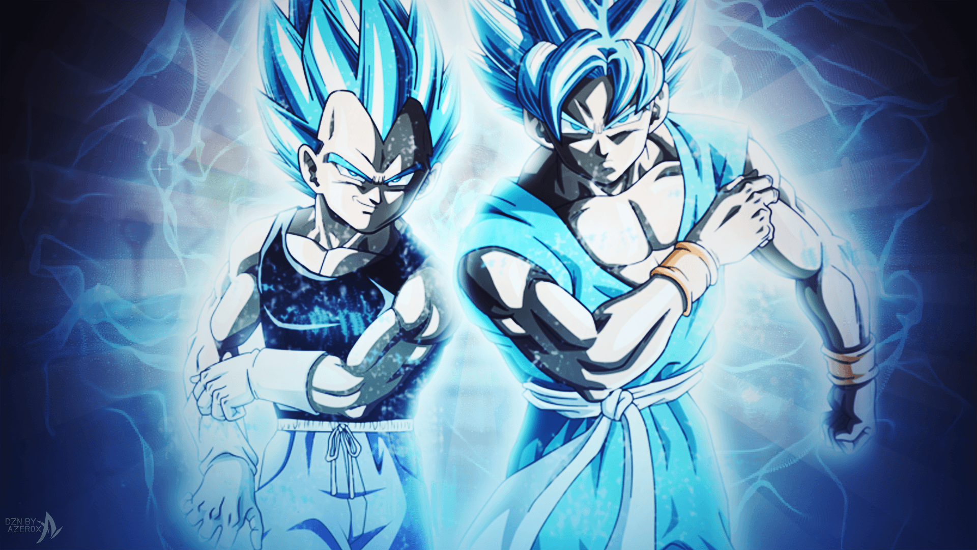 lr goku and vegeta blue