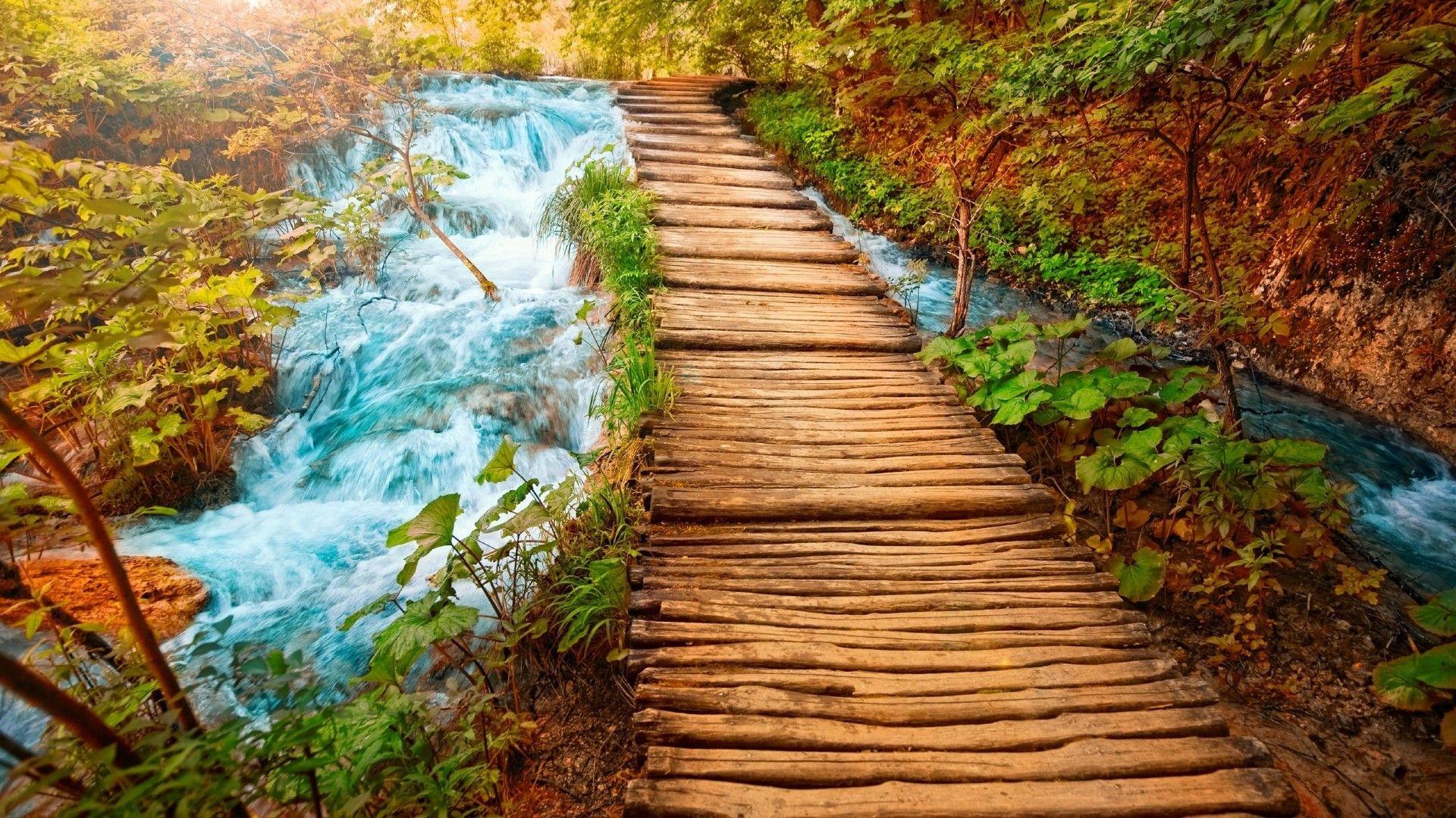 1920x1080 HD Nature Wallpaper 1080p