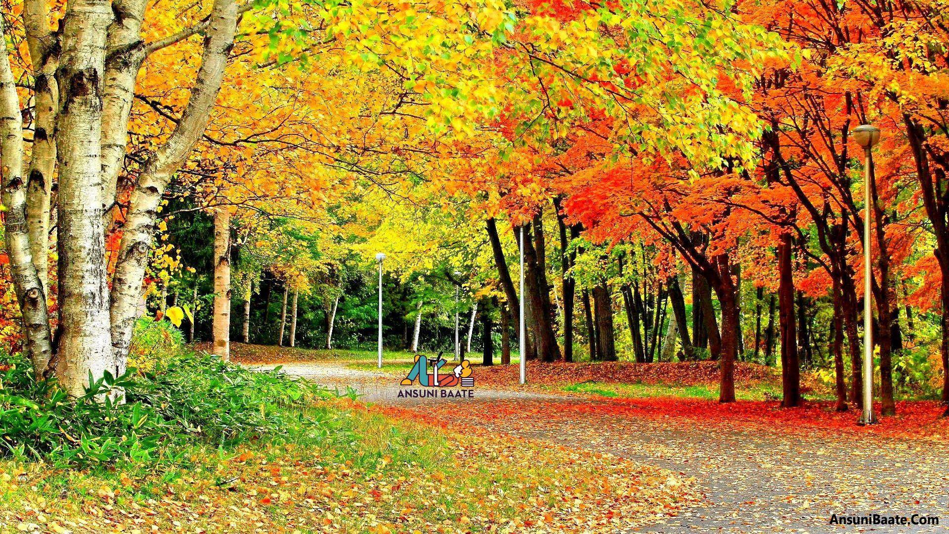1920x1080 Full HD Wallpaper Download