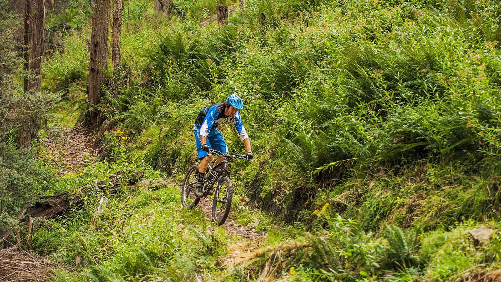 1600x900 Mountain biking, High Country, Victoria, Australia
