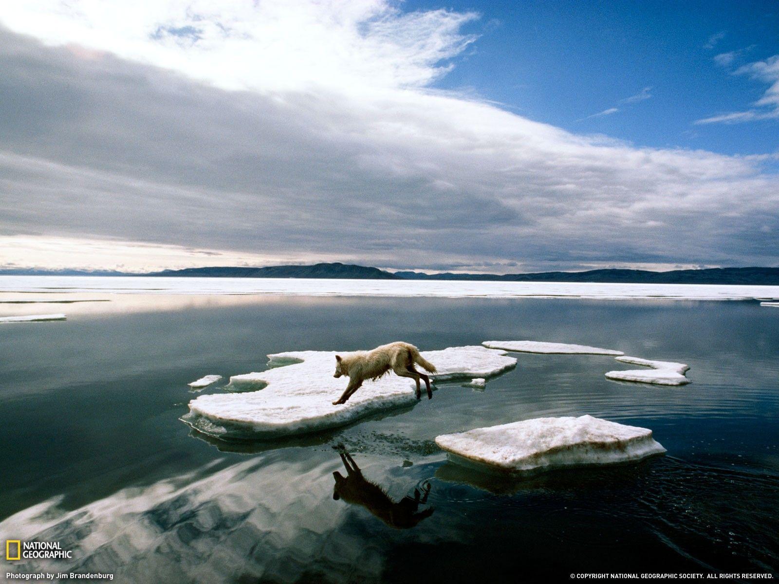1600x1200 landscapes, Nature, Animals, National, Geographic, National