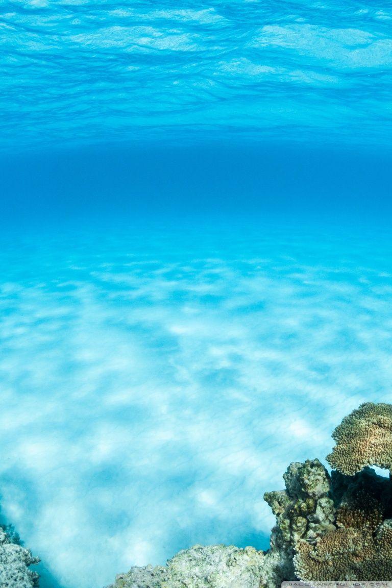 Underwater Mobile Wallpapers Top Free Underwater Mobile Backgrounds