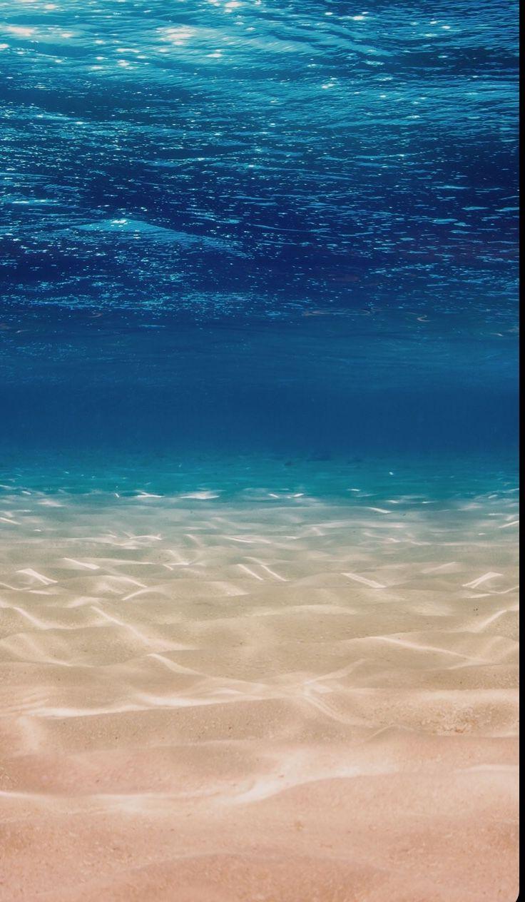736x1264 In the underwater. Ocean wallpaper, Beautiful wallpaper