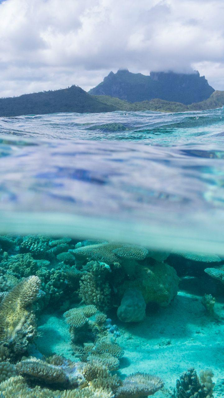 720x1280 Earth Underwater (720x1280) Wallpaper