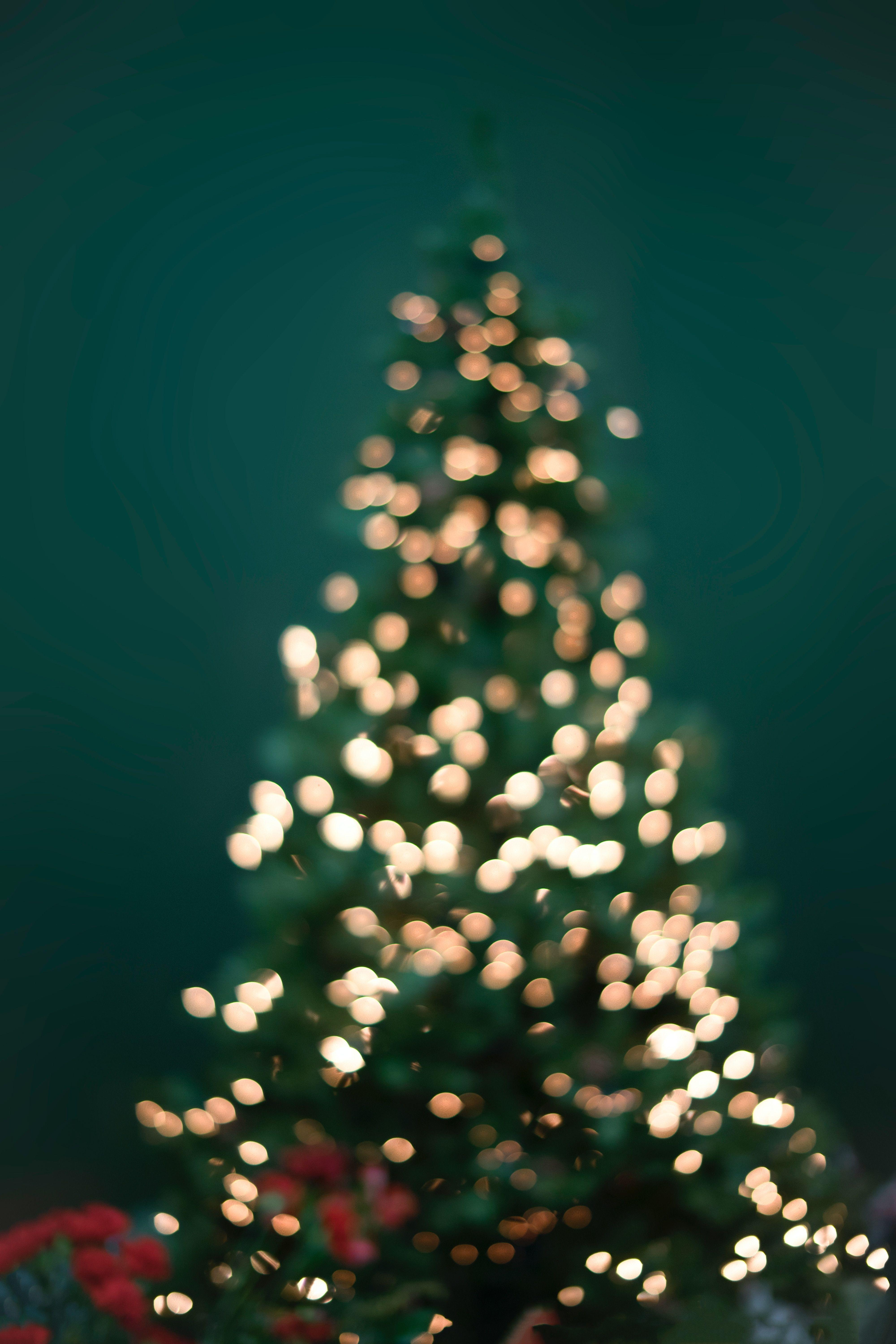 4000x6000 Christmas Wallpaper: Free HD Download [HQ]