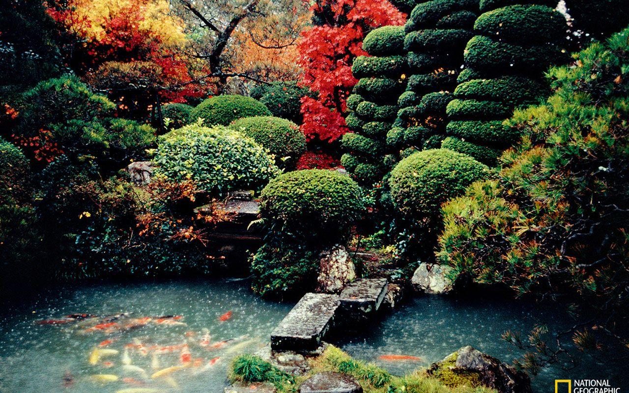 1280x800 Free download National Geographic magazine photography world
