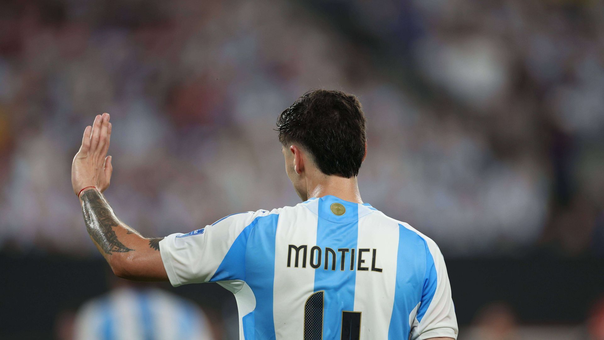 1920x1080 Gonzalo Montiel, con Argentina pese a no jugar en el Sevilla FC