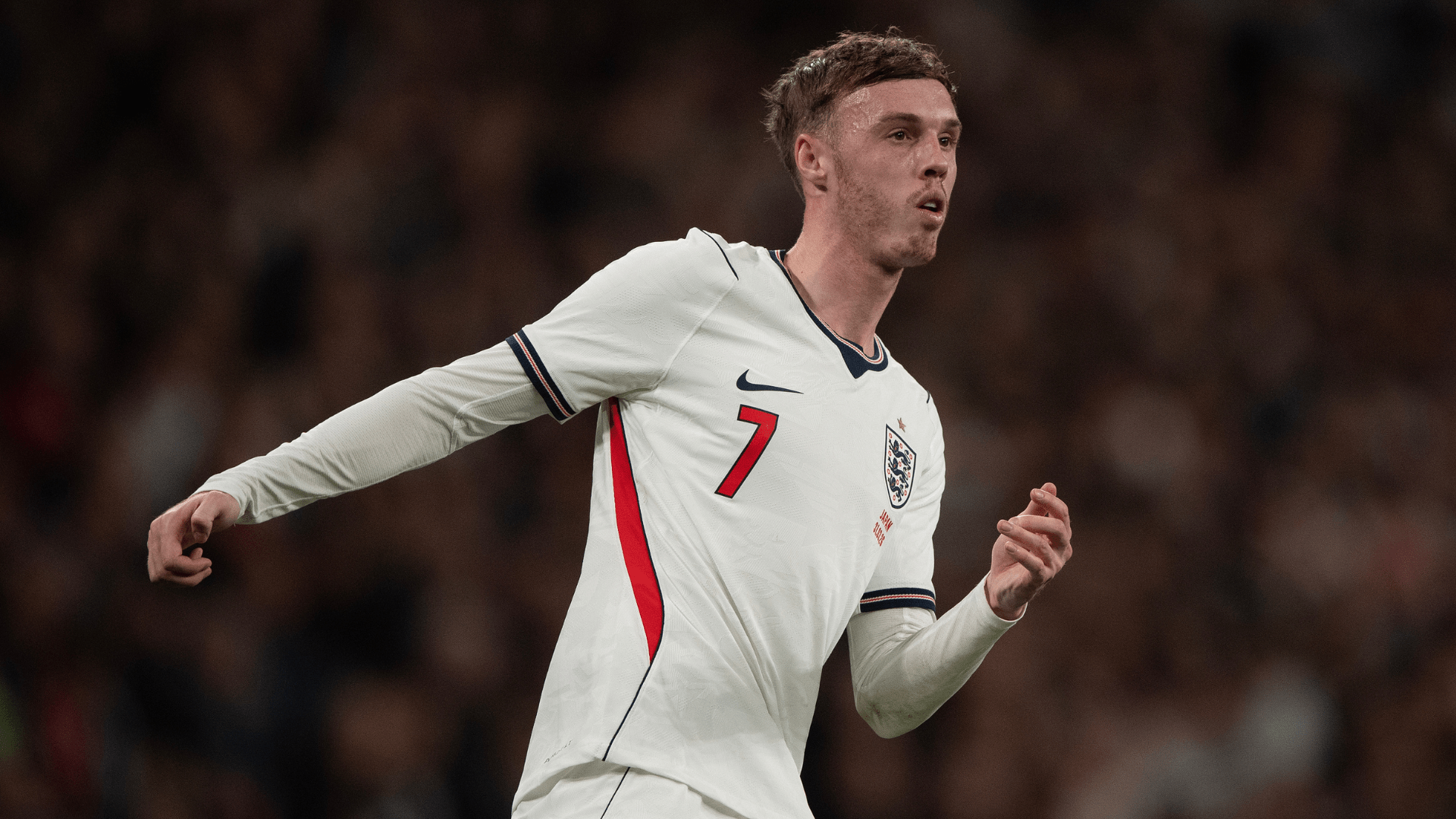 1920x1080 Brighton bolster defence with De Cuyper signing