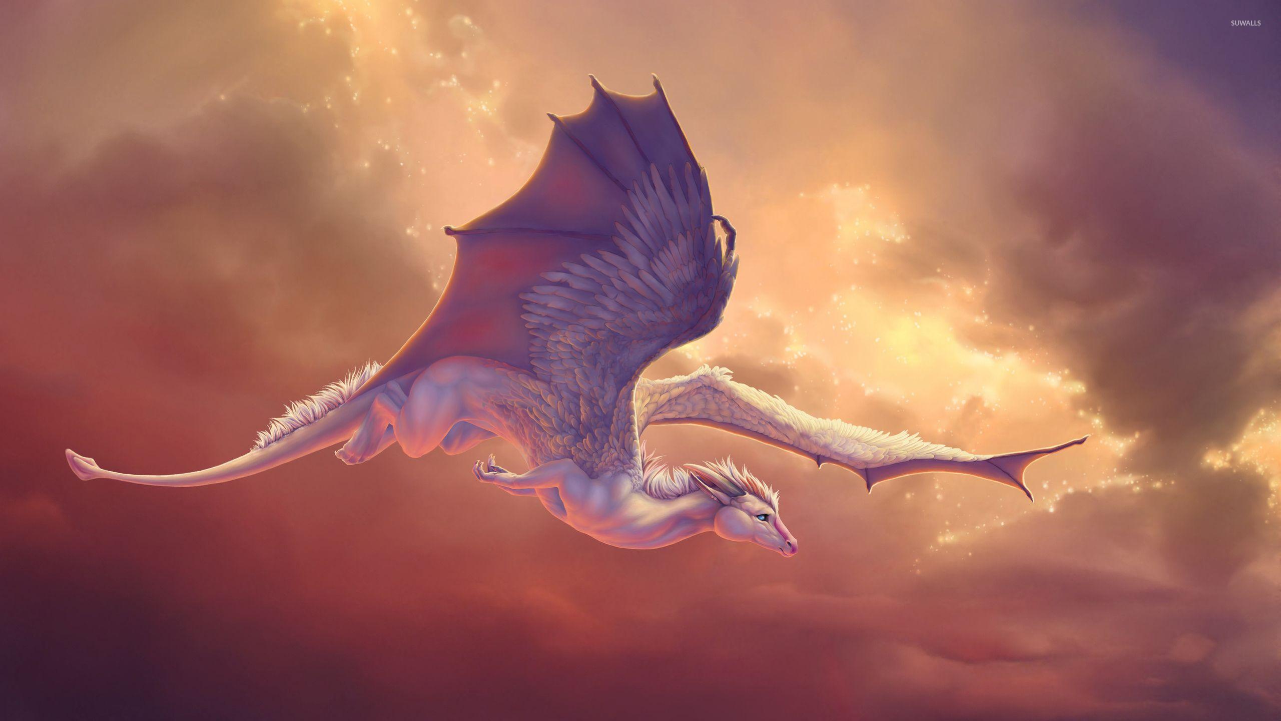 2560x1440 Cute Dragon Wallpaper