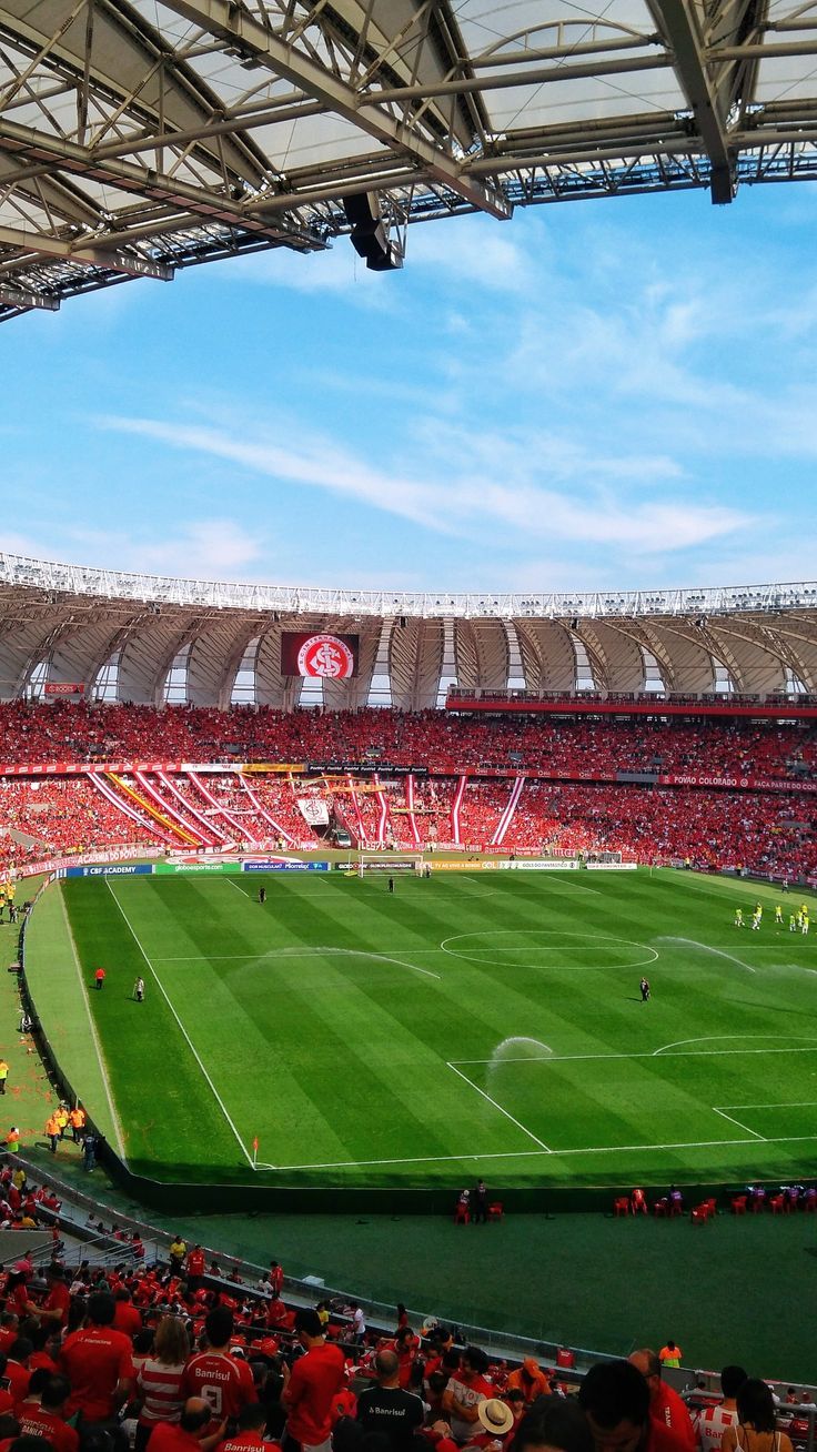 736x1308 Gigante Da Beira Rio Soccer Wallpaper