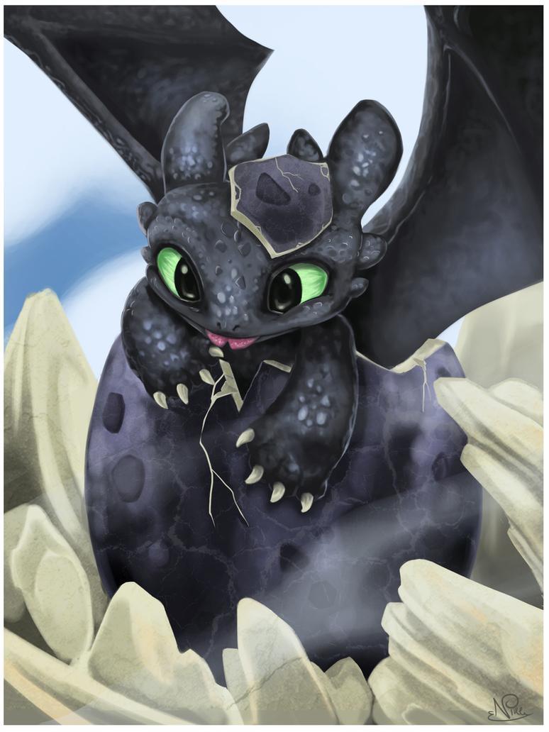 Baby Toothless Wallpapers Top Free Baby Toothless Backgrounds