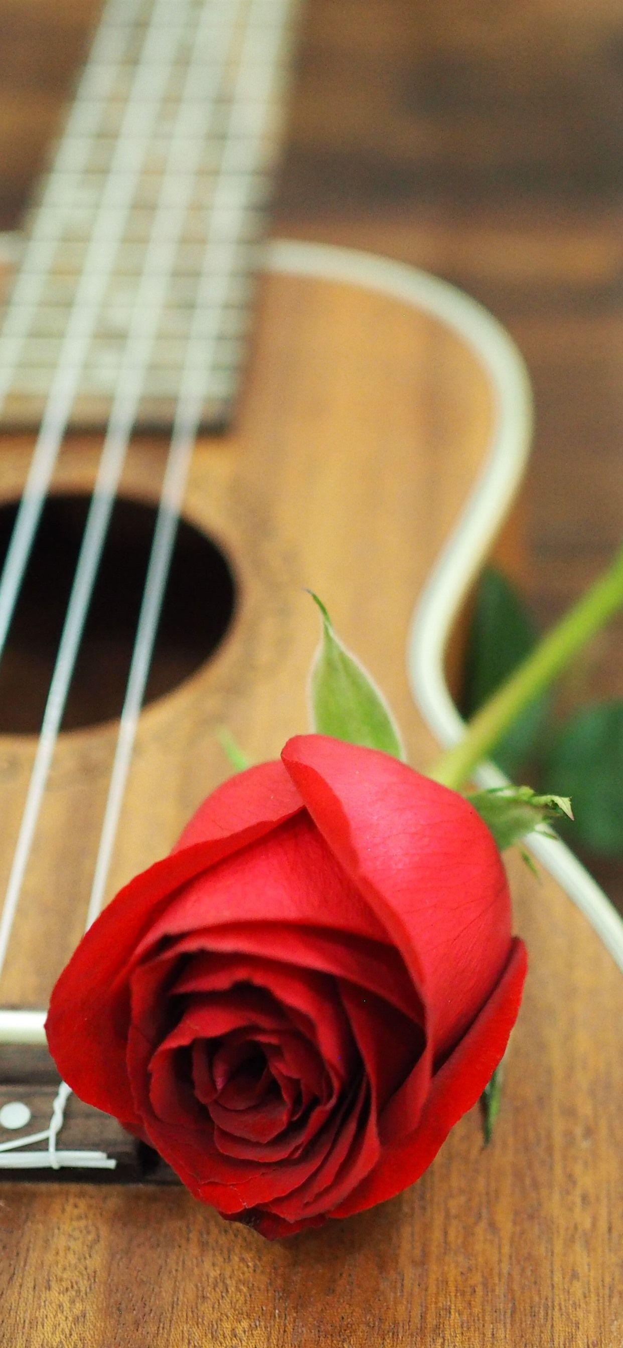 1242x2688 Red Rose, Guitar 1242x2688 IPhone 11 Pro XS Max Wallpaper