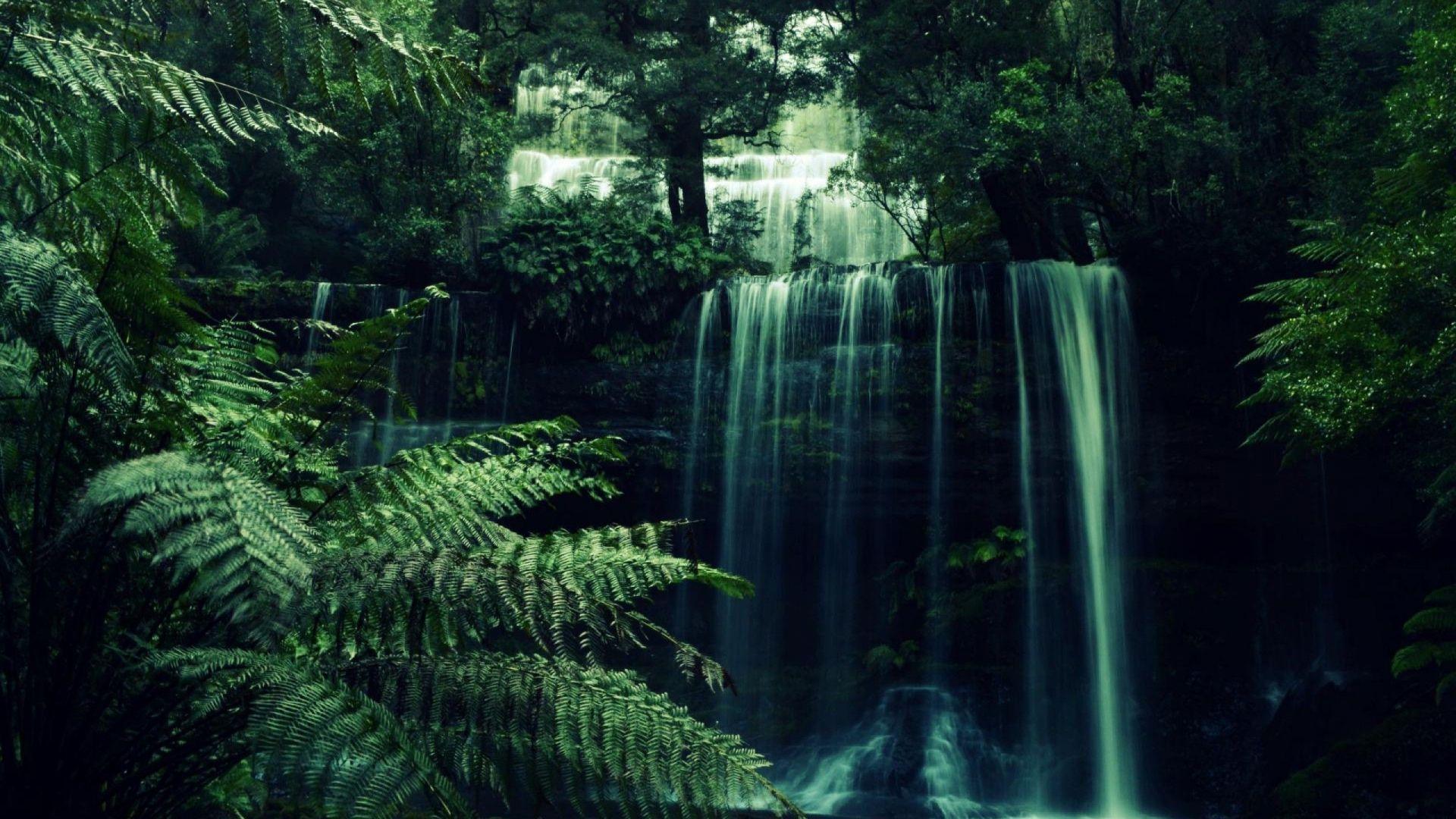 aesthetic forest hd wallpapers wallpaper cave on aesthetic forest hd wallpapers