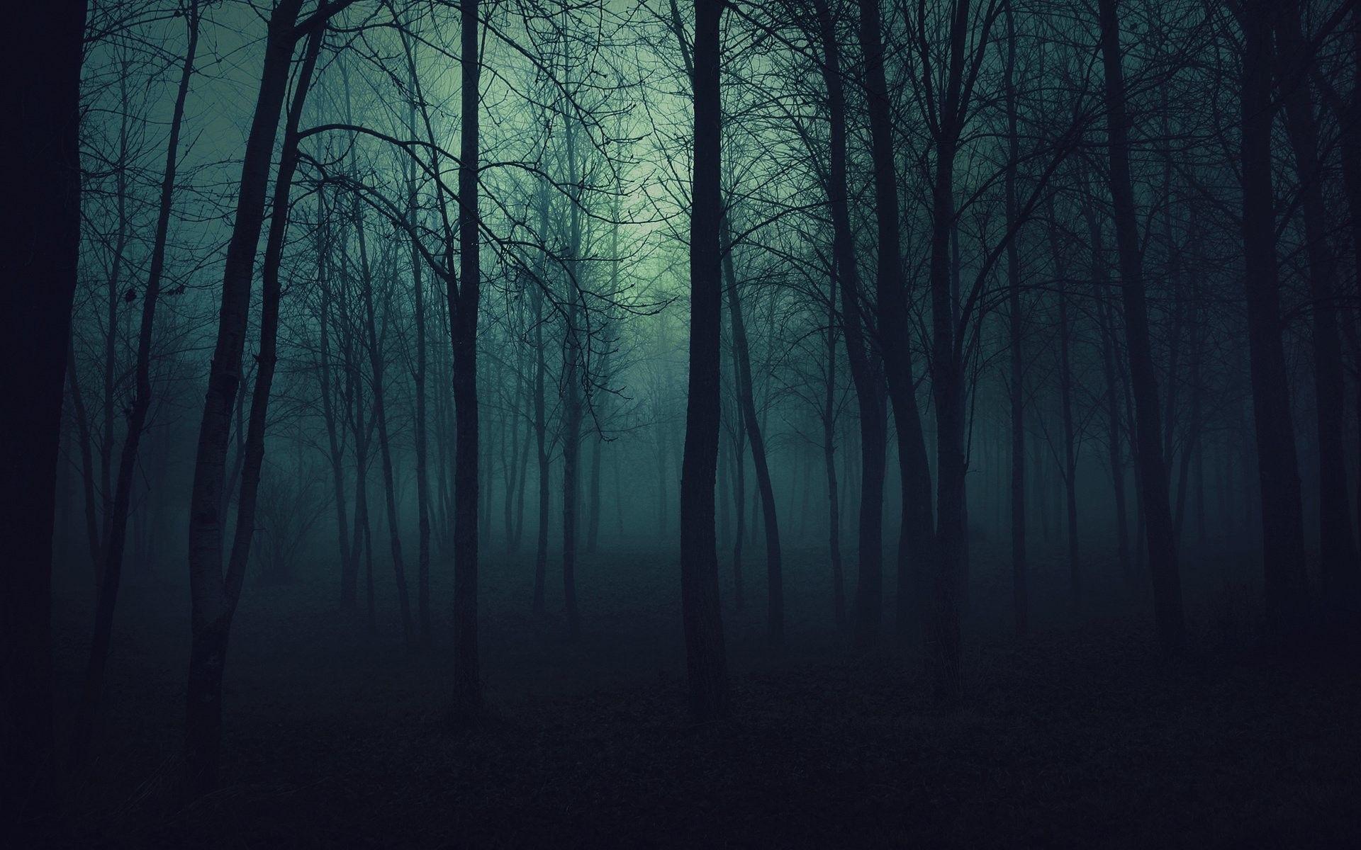 1920x1200 Dark Forest Background