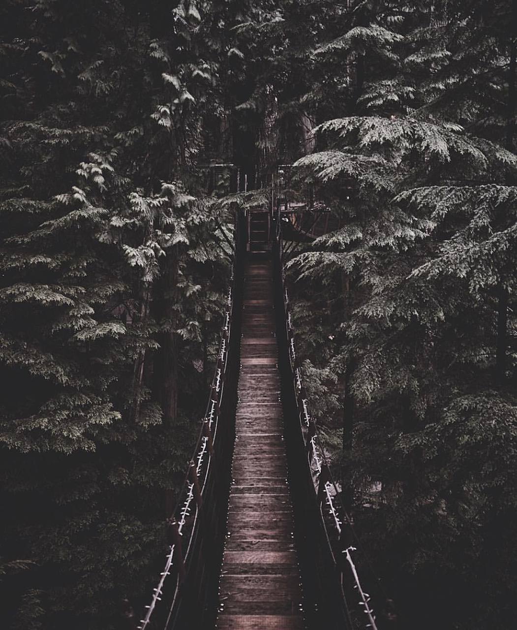 1051x1280 aesthetic, alternative, background, beautiful, bridge, dark
