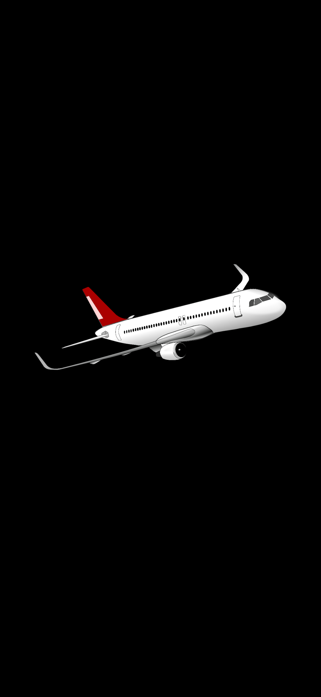 1080x2340 Just a plane black wallpaper [1080x2340]