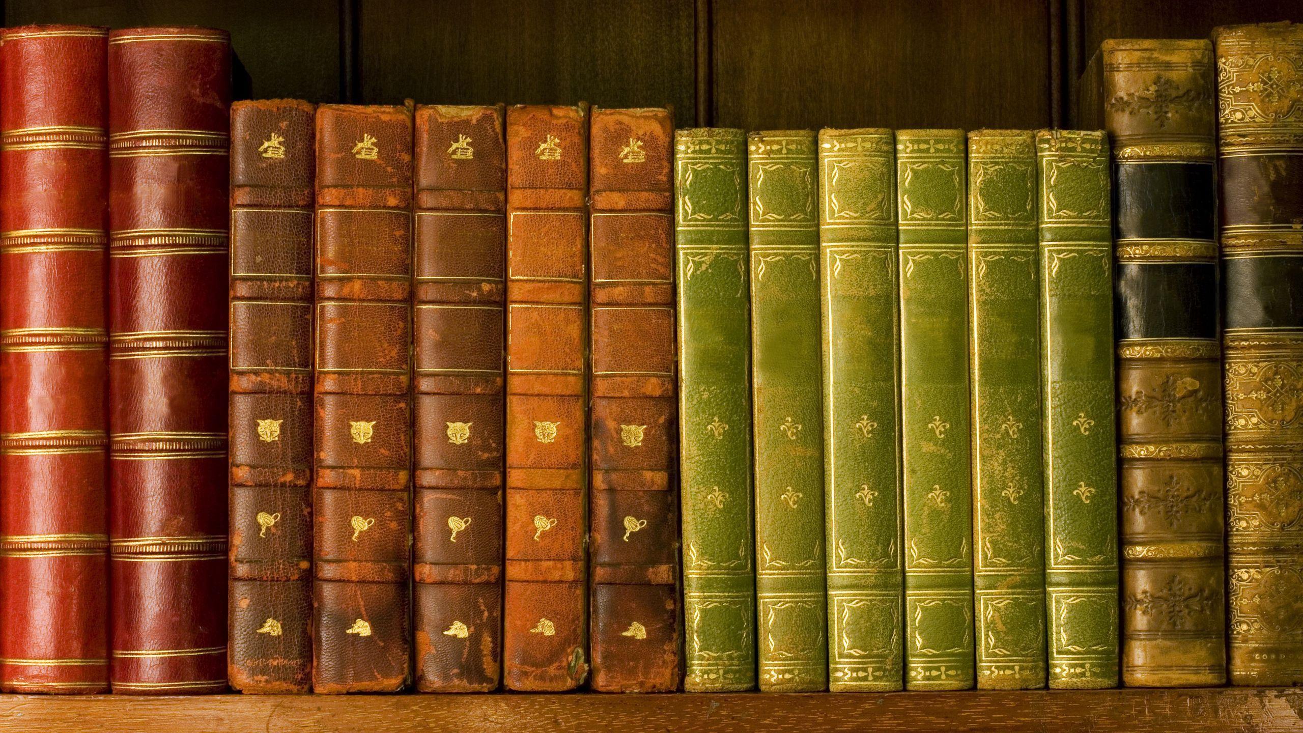 2560x1440 Download wallpaper 2560x1440 shelf, library, roots, books