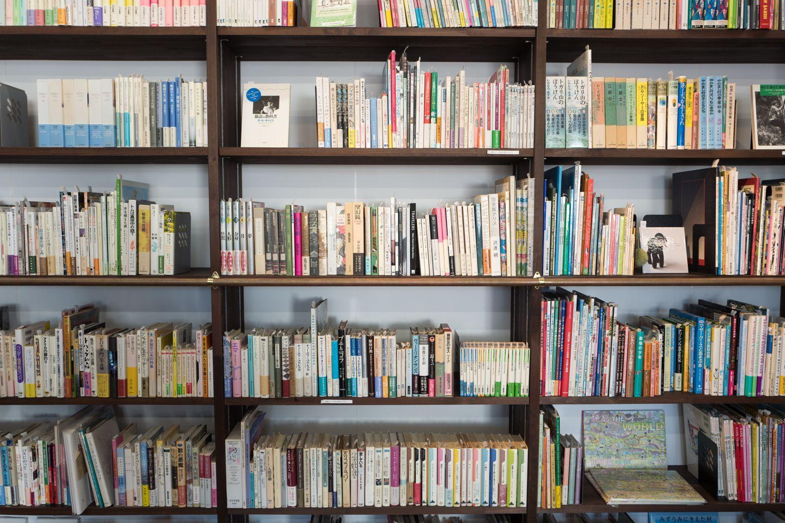 1600x1066 Books Library Knowledge Shelf Bookshelf Pile Wallpaper