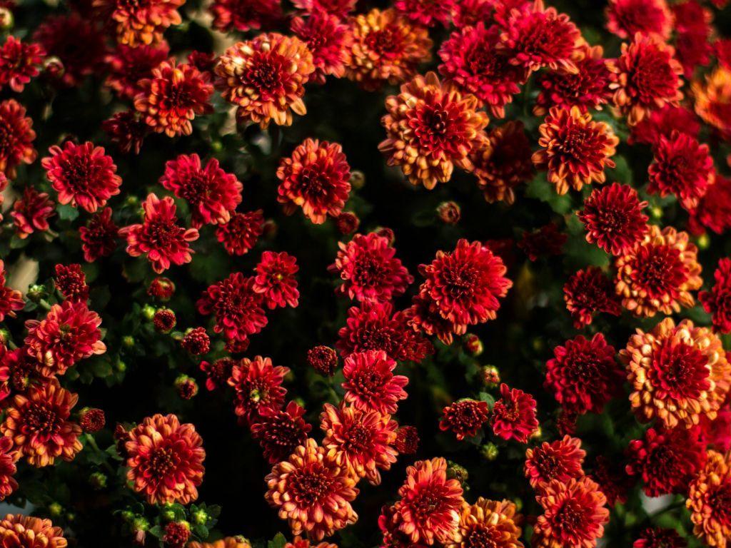 1024x768 Porch 4K wallpaper for your desktop or mobile screen free