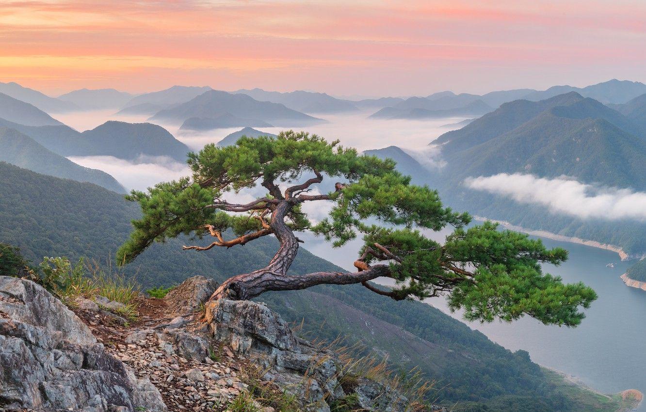 1332x850 Wallpaper clouds, landscape, mountains, nature, fog, river, stones