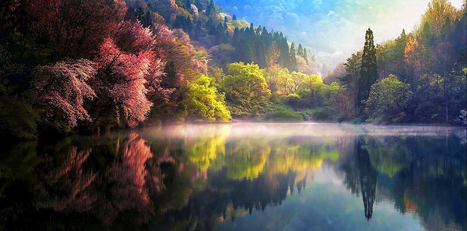 1553x768 Korean Wallpaper Nature, Spring, Sunrise, Mist, Lake