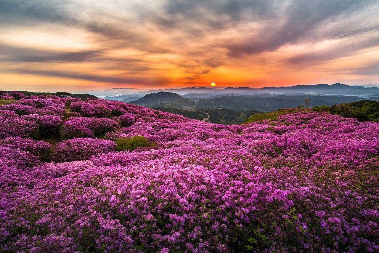 1280x854 Wallpaper Korea
