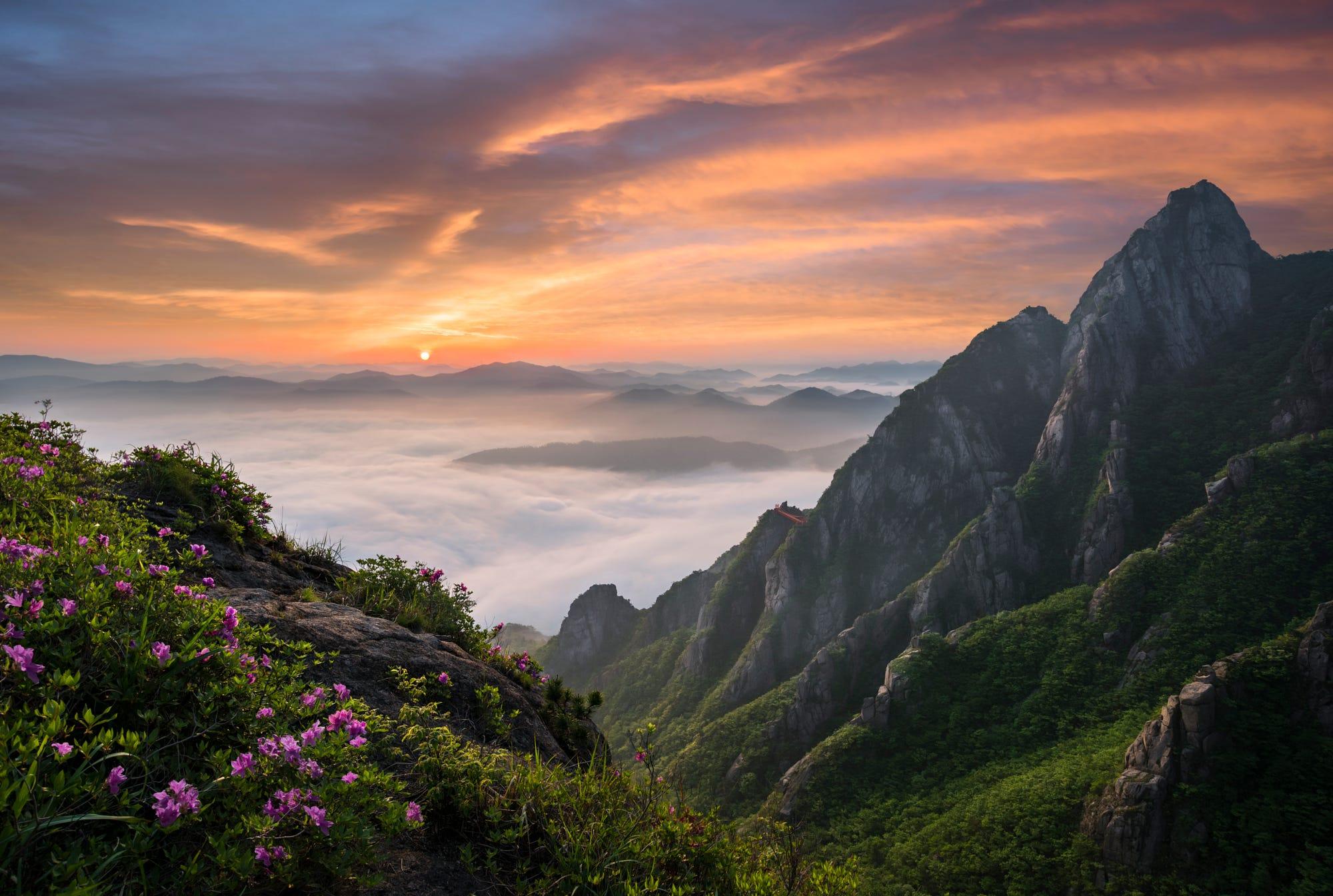 2000x1345 nature, Landscape, South Korea, Mountains, Pink flowers, Clouds