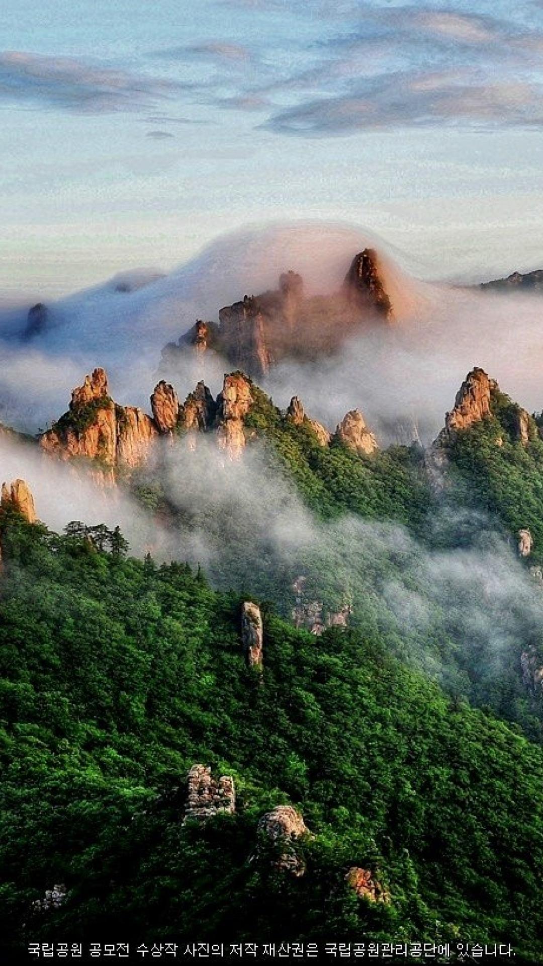 1080x1920 Nature Korea Wallpaper