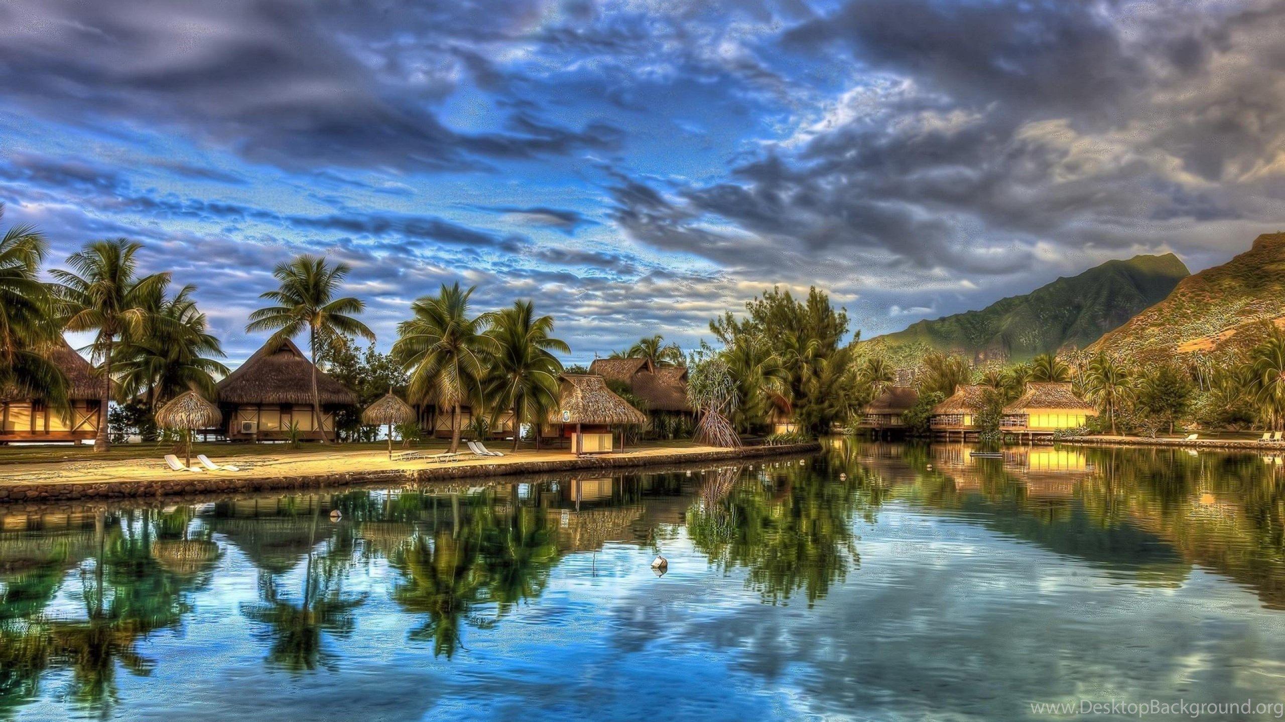2560x1440 Exotic Desktop Background Of Exotic Places How To Plant Bird Of