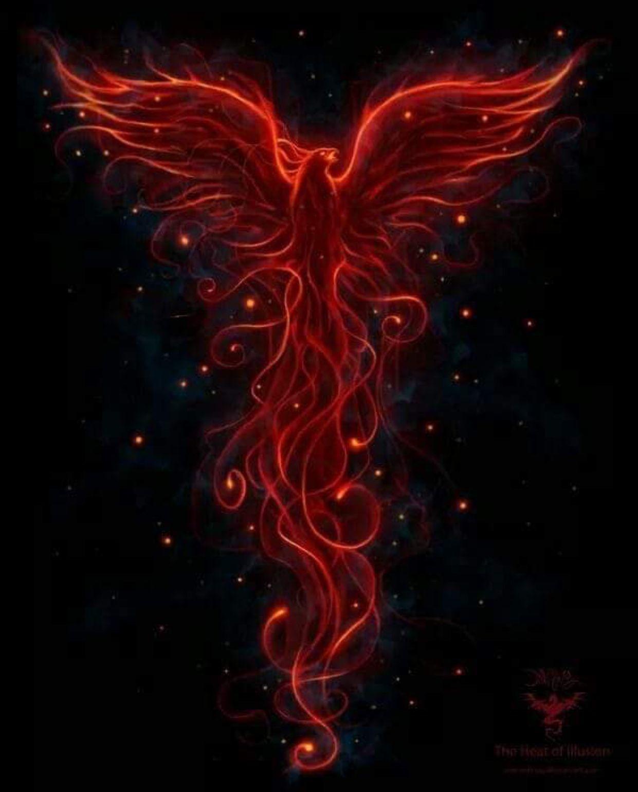 Red Phoenix Bird