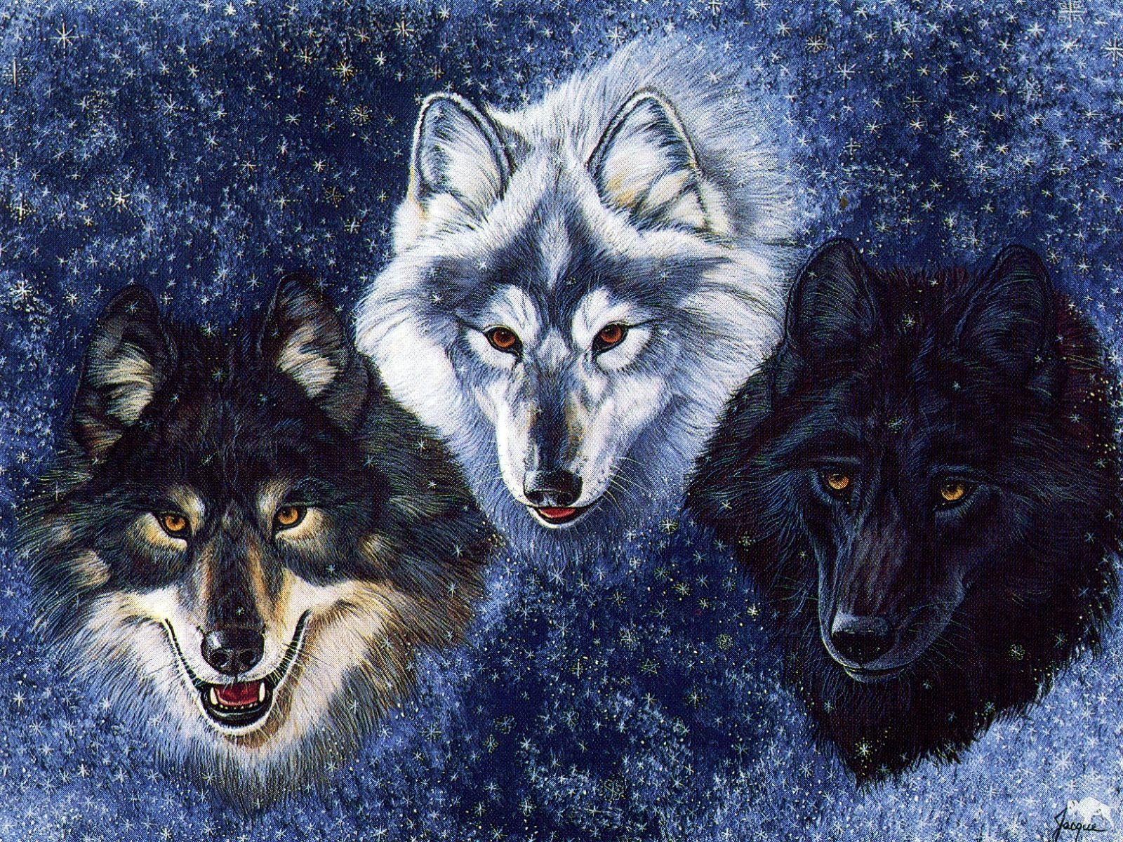 Native Indian Wolf Wallpapers - Top Free Native Indian Wolf Backgrounds ...