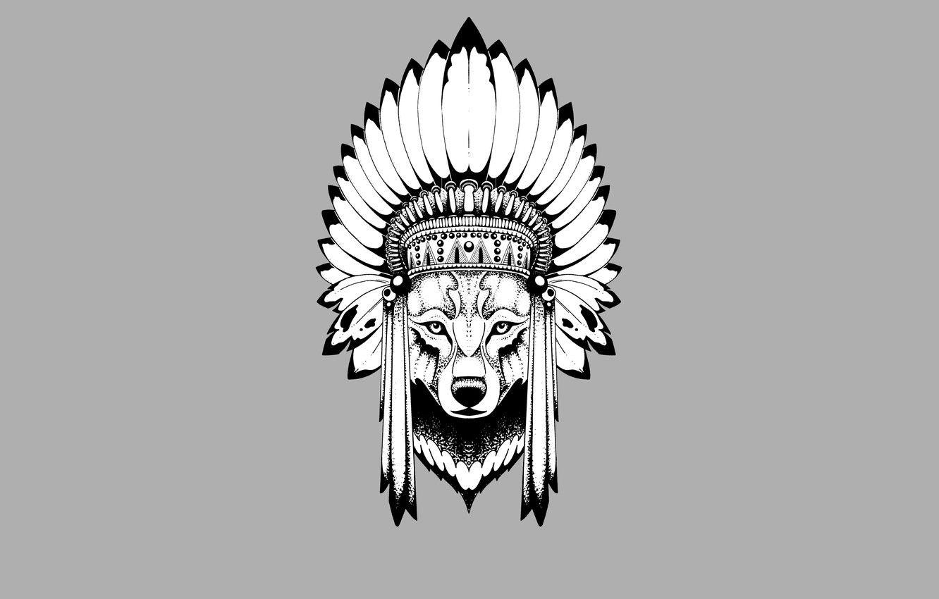 Indian Wolf Wallpapers - Top Free Indian Wolf Backgrounds - WallpaperAccess