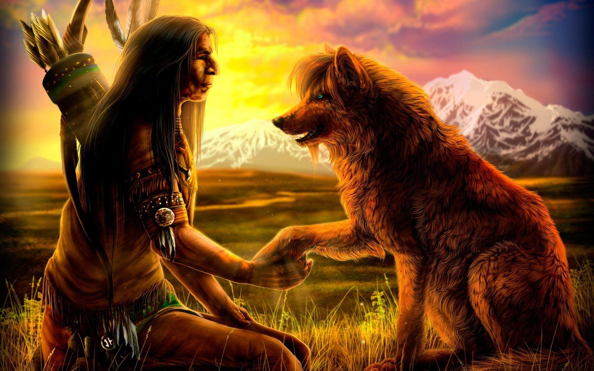 Indian Wolf Wallpapers - Top Free Indian Wolf Backgrounds - WallpaperAccess