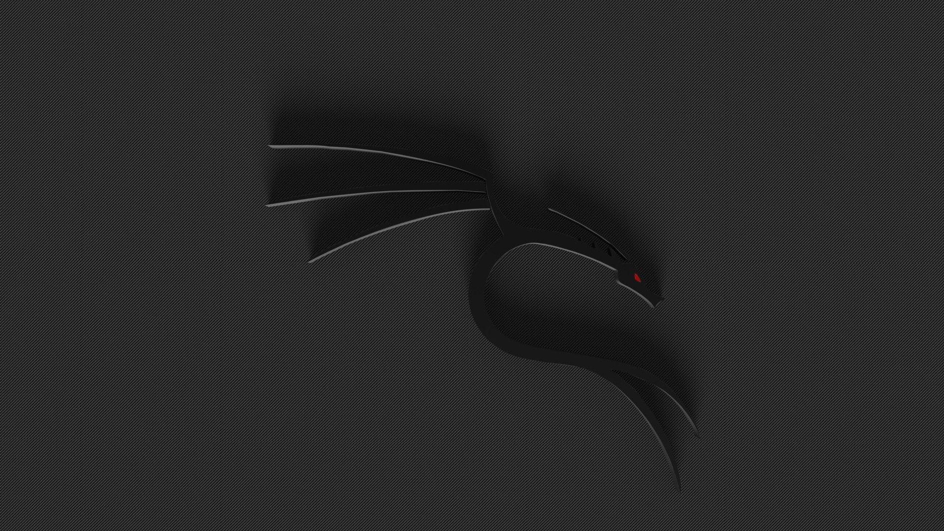 1920x1080 4k Desktop Kali Linux Wallpaper