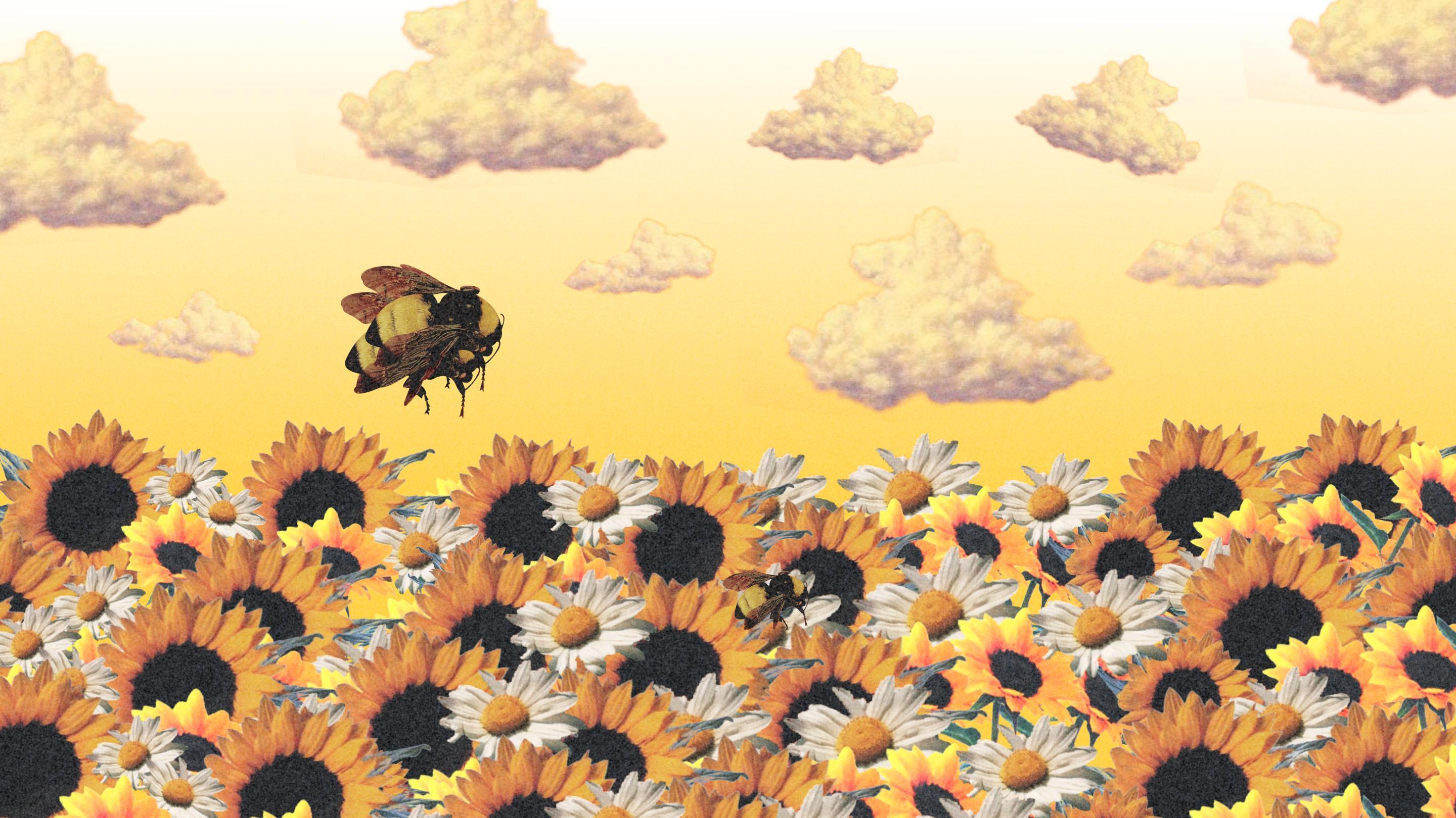 Simplistic Flower Boy Wallpaper 1920x1080 Not much but thought Id share  it if anyone wants it  rtylerthecreator