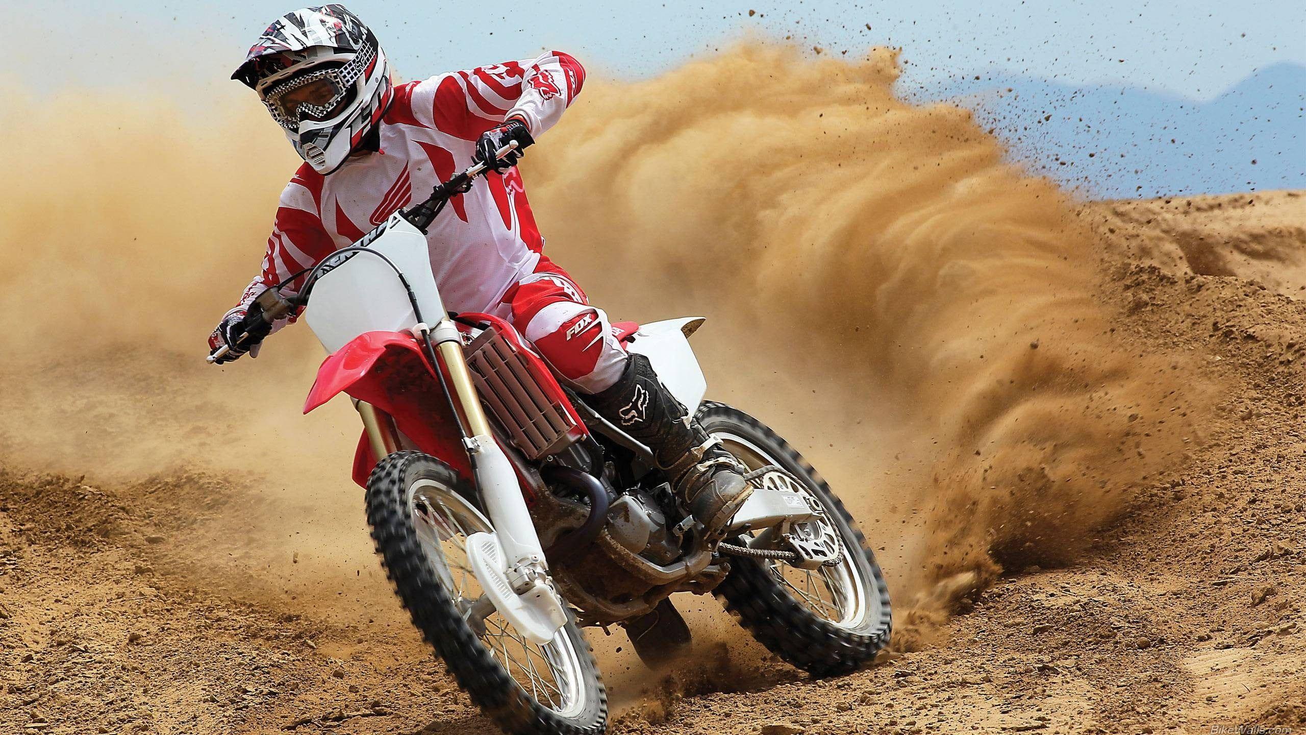 2560x1440 Person riding red and white motocross bike HD wallpaper. Wallpaper