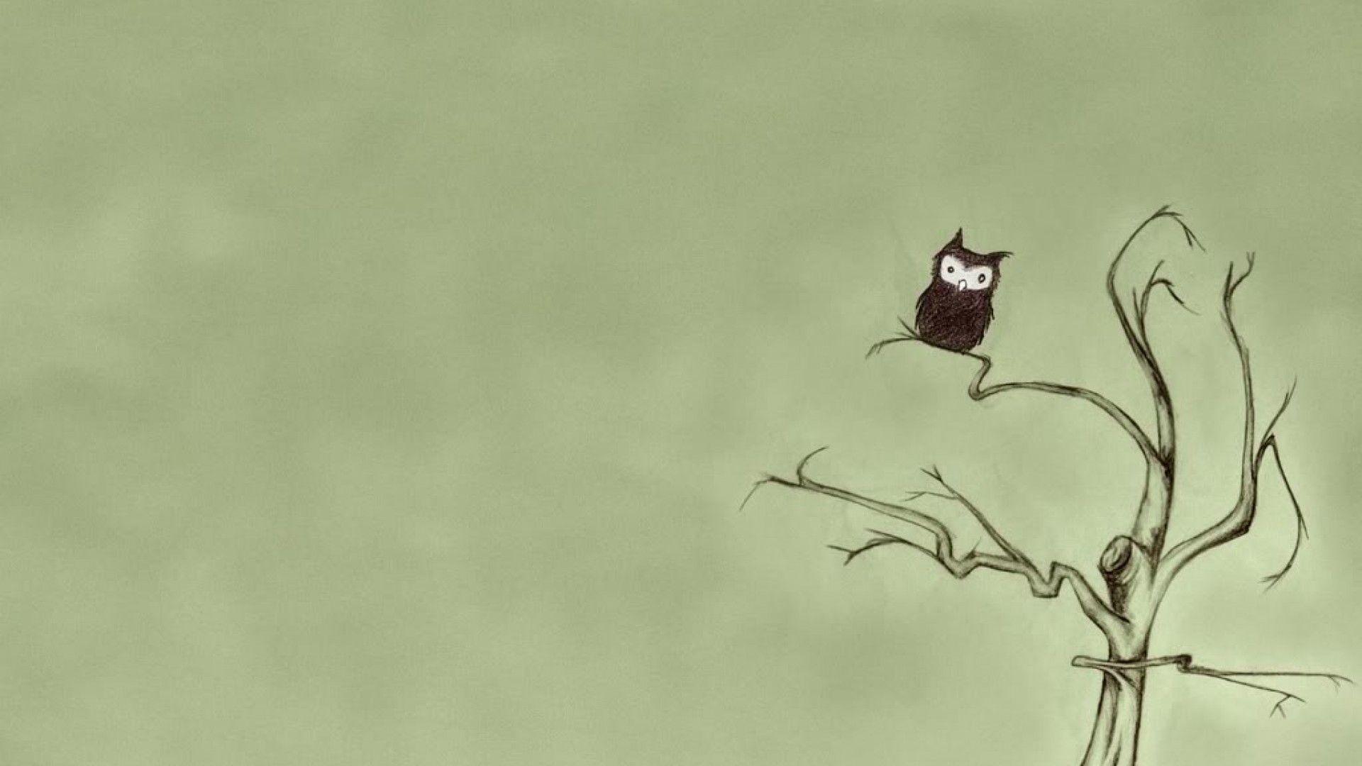 1920x1080 Owl Wallpaper for Computer