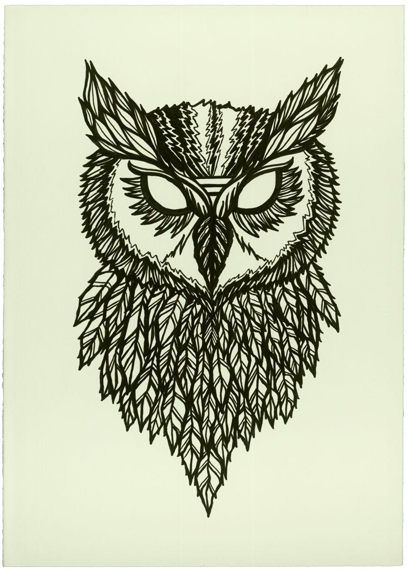 800x1120 Owl Drawing Photo