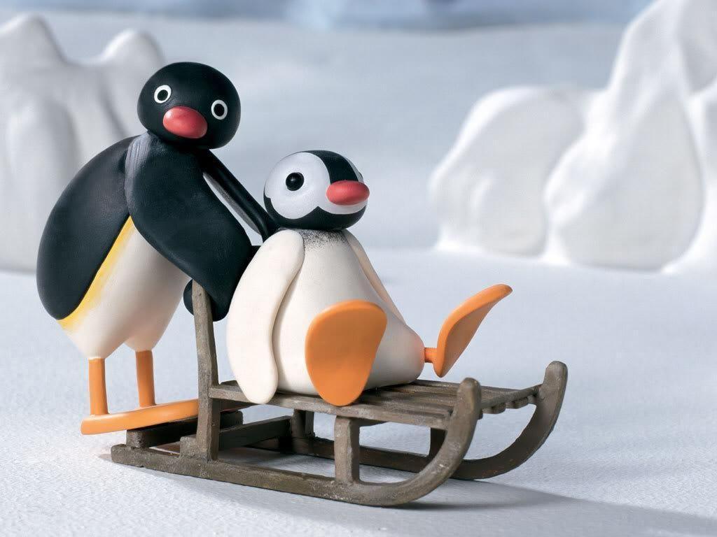 Pingu Hd Wallpapers Top Free Pingu Hd Backgrounds Wallpaperaccess