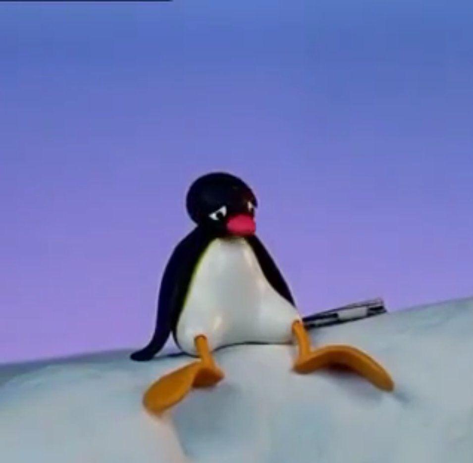 955x935 Best pingu image. Pingu, Pingu memes, Pingu pingu