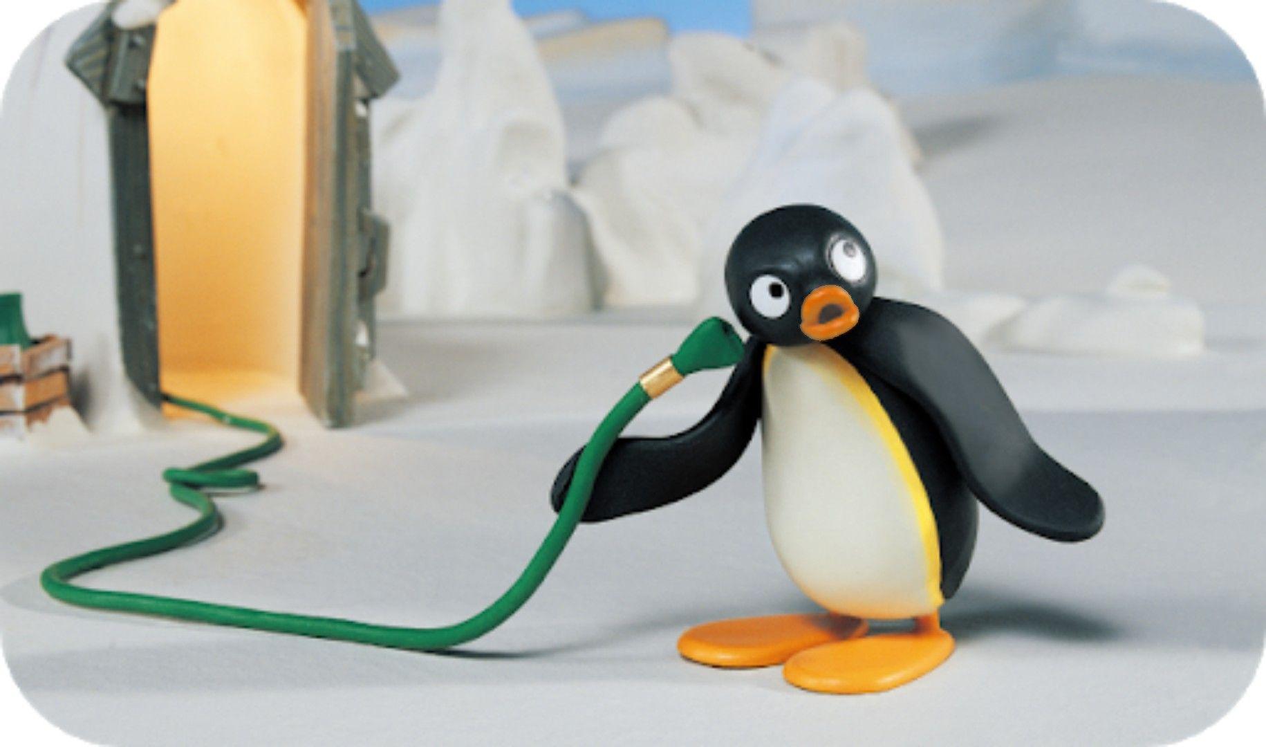 Pingu HD Wallpapers - Top Free Pingu HD Backgrounds - WallpaperAccess